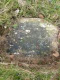 image of grave number 55407